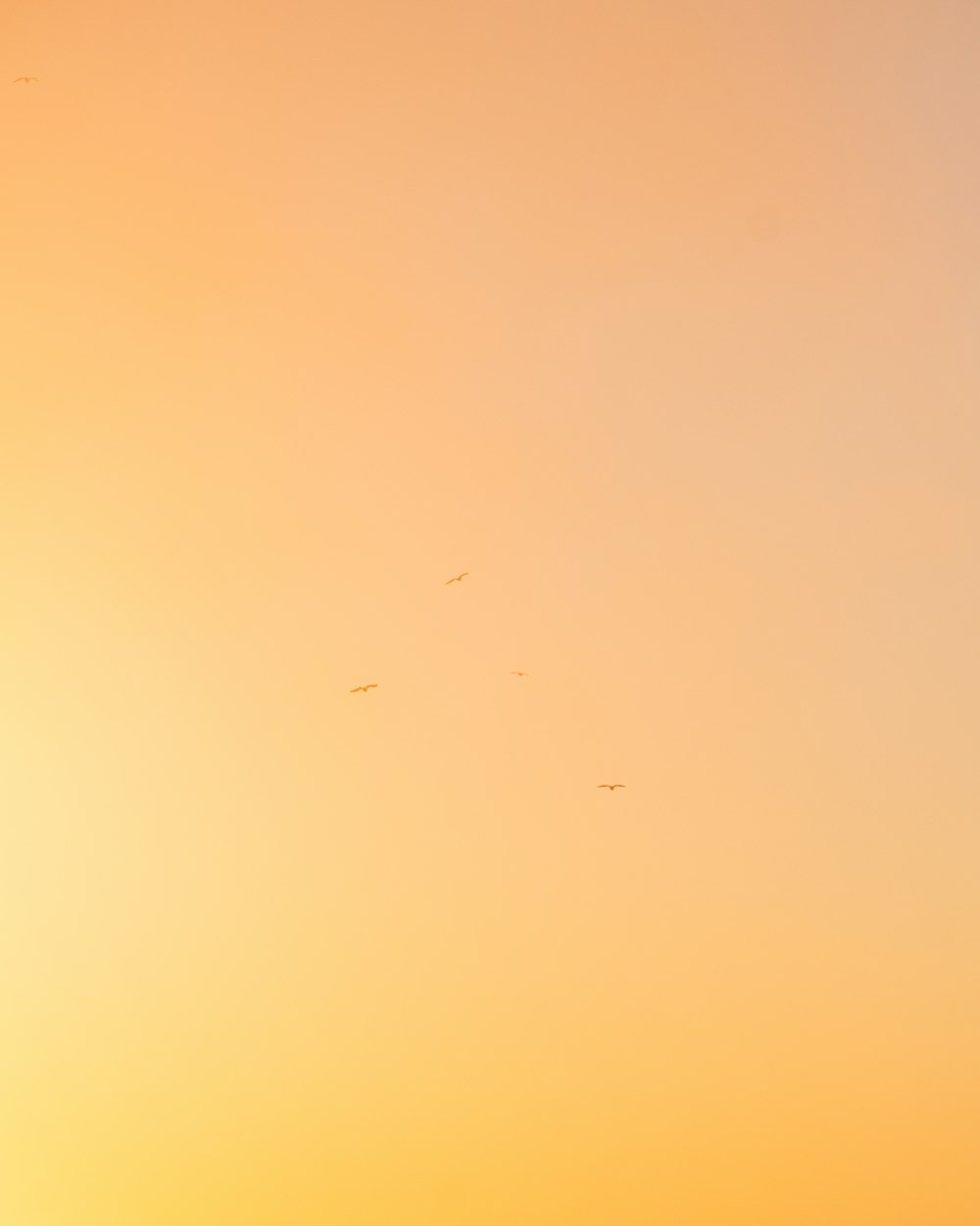 a group of birds flying in the sky at sunset