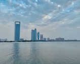 A serene view of a city skyline representing business growth.