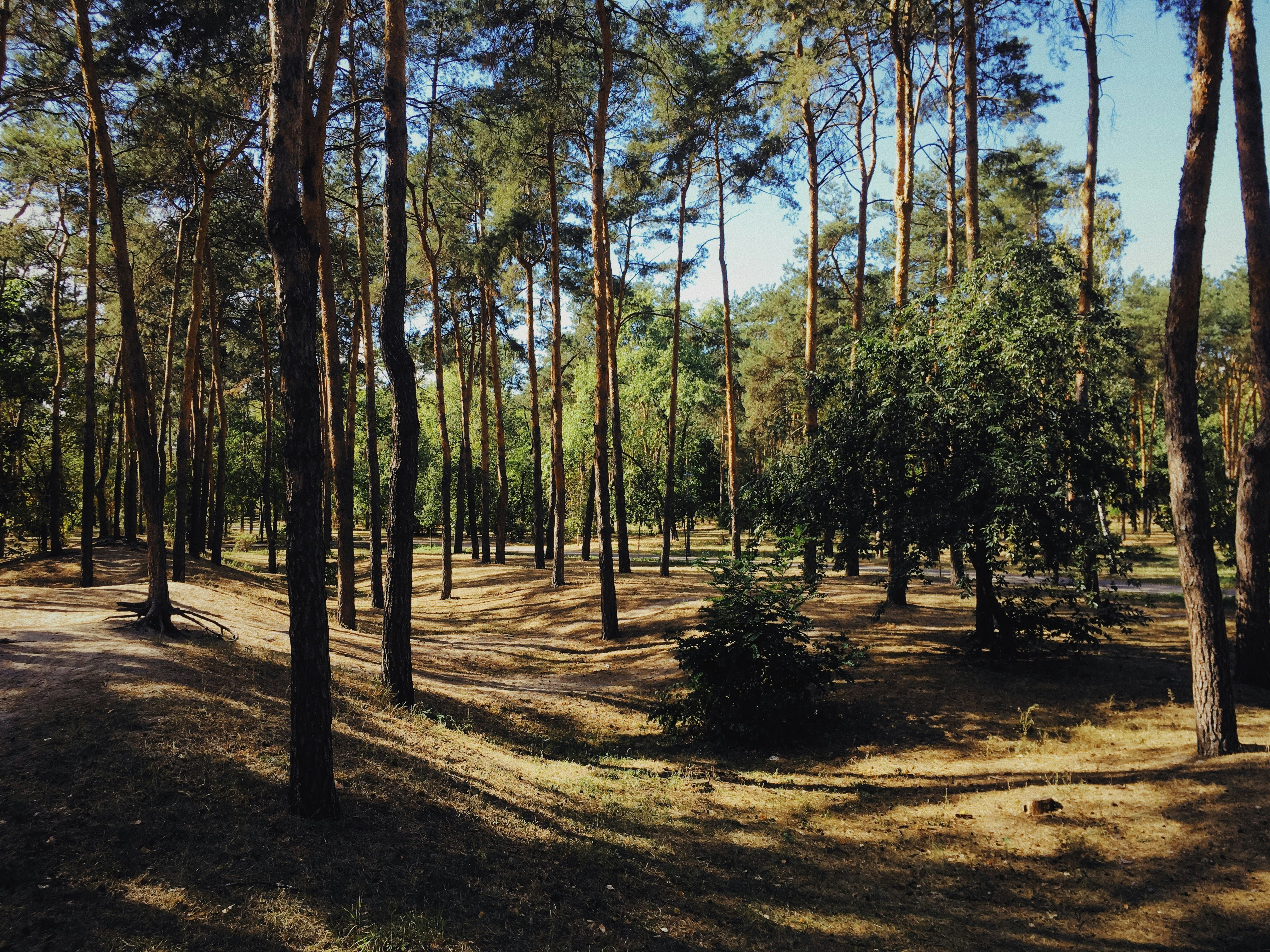 Photo by ingvar_erik