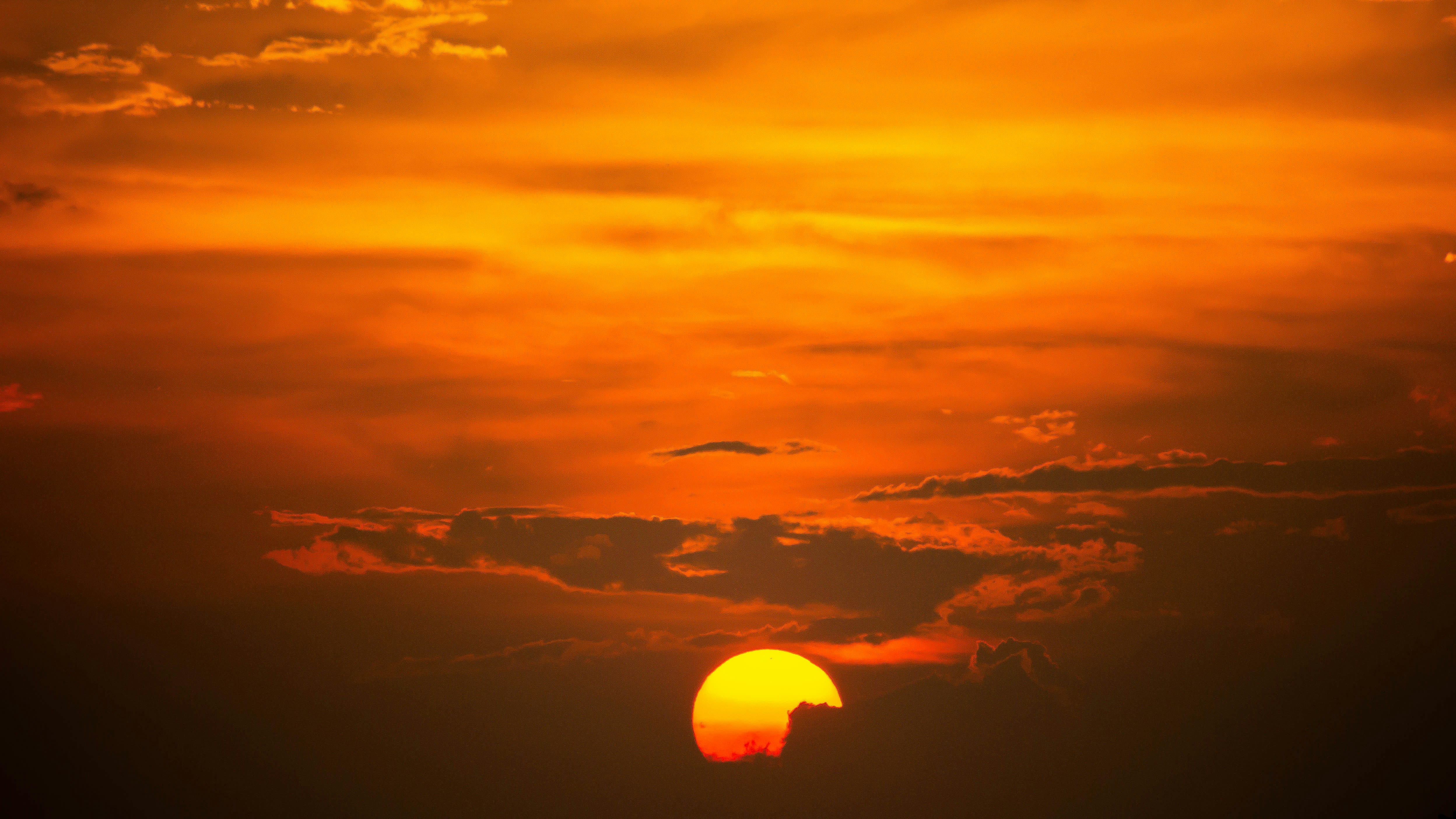 Photo by daniel_joshua_