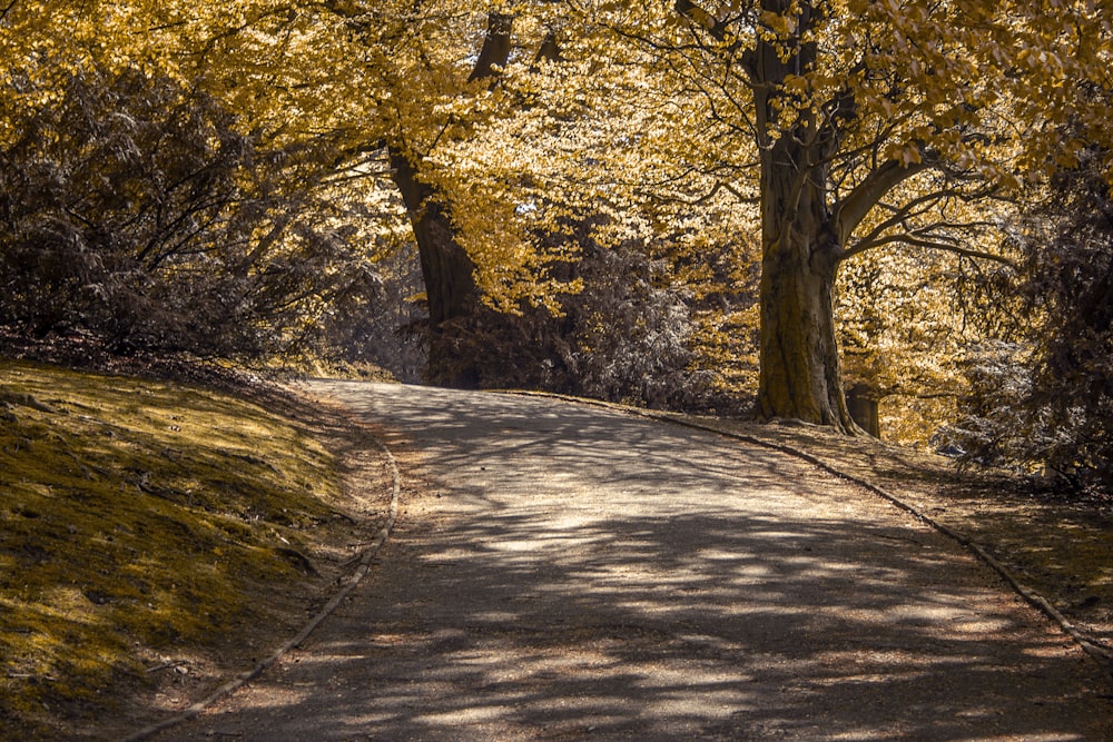 empty roadway