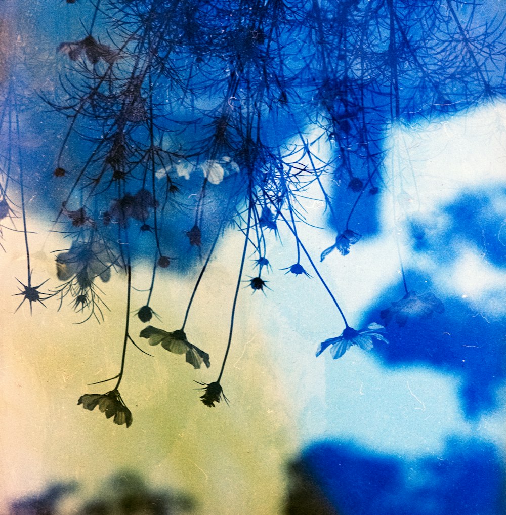 a close up of a tree branch with a sky background