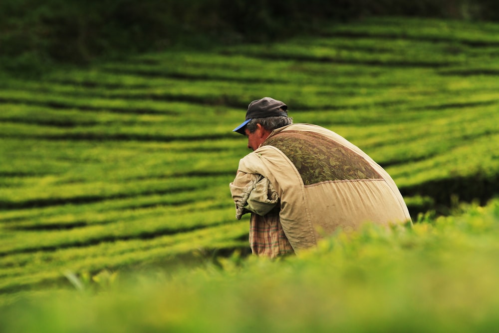 man sitting on green field