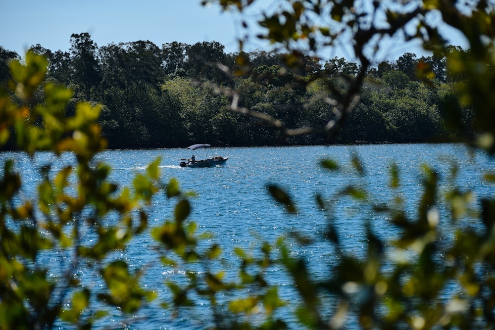 black boat on blue sea surrounded with tall and green trees during daytime