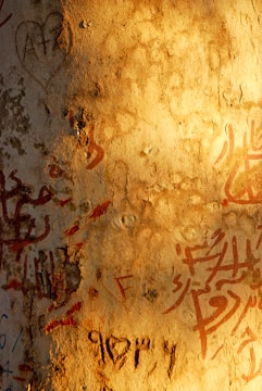 Faded gold claw marks etched into dark stone walls.