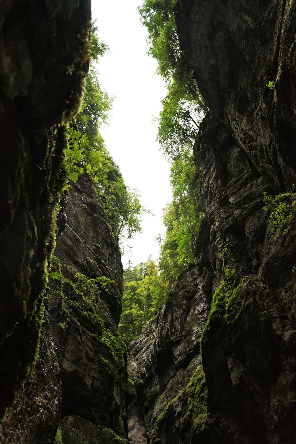 Ein schmaler Fluss, umgeben von Felsen und Bäumen