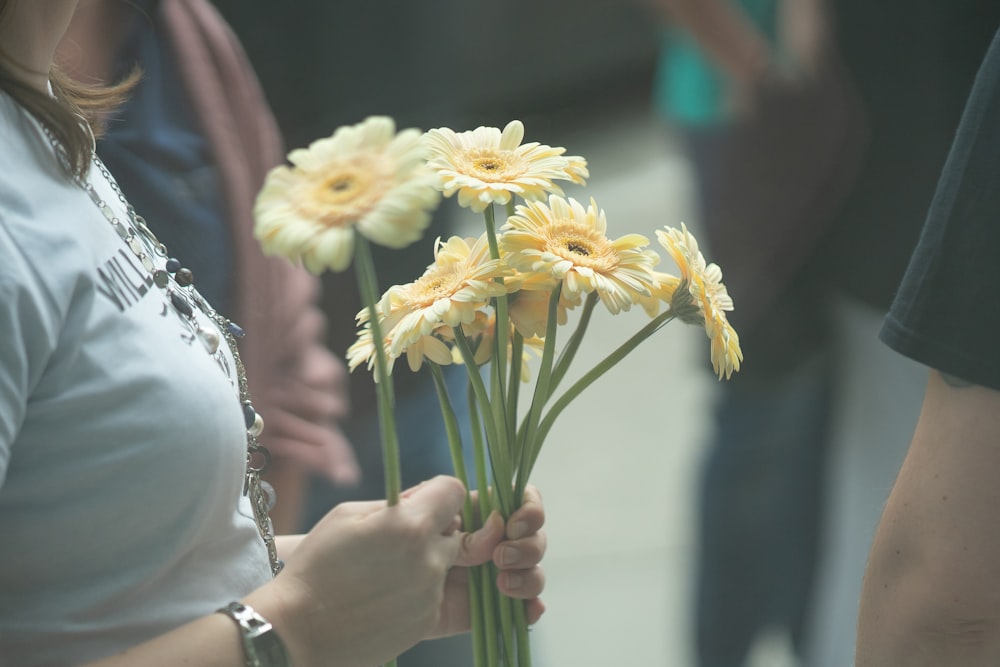 yellow petaled flowers