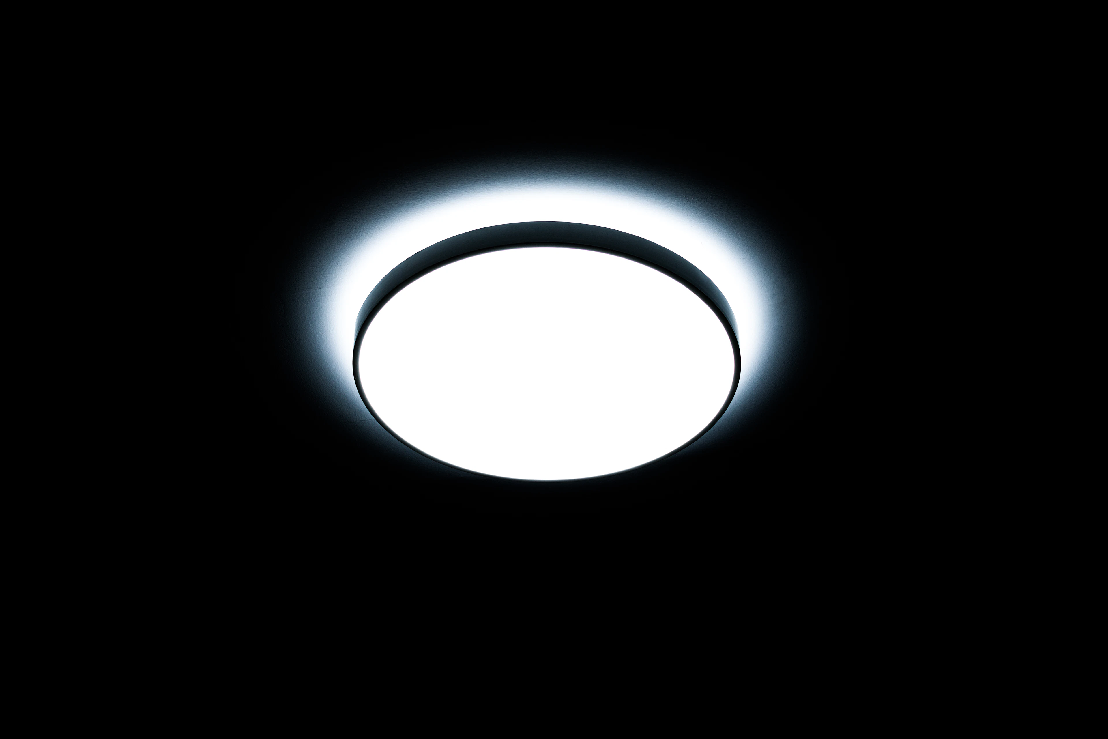 White dome light