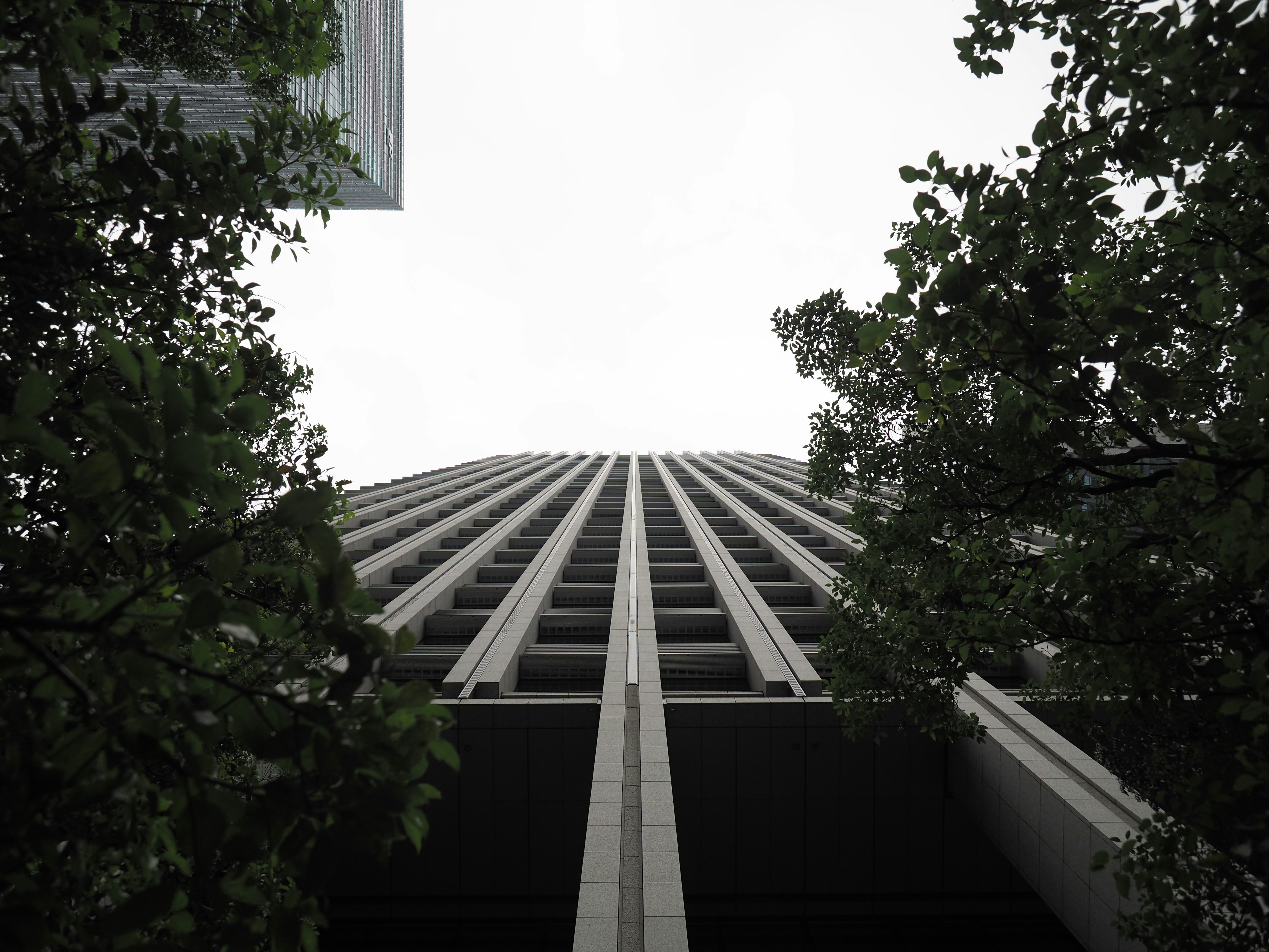 grayscale photography of high-rise building