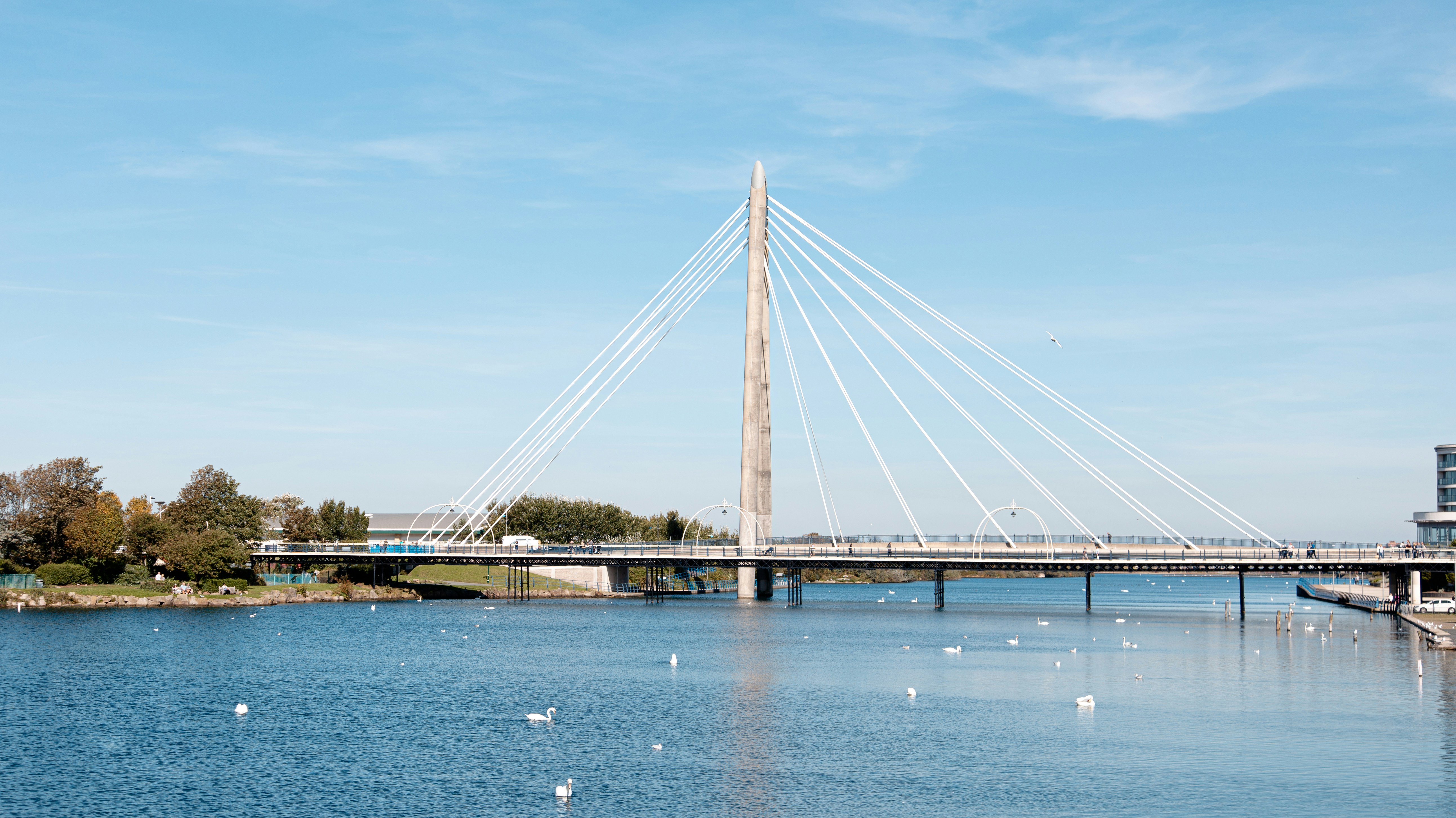 Photo by matthew_daniels