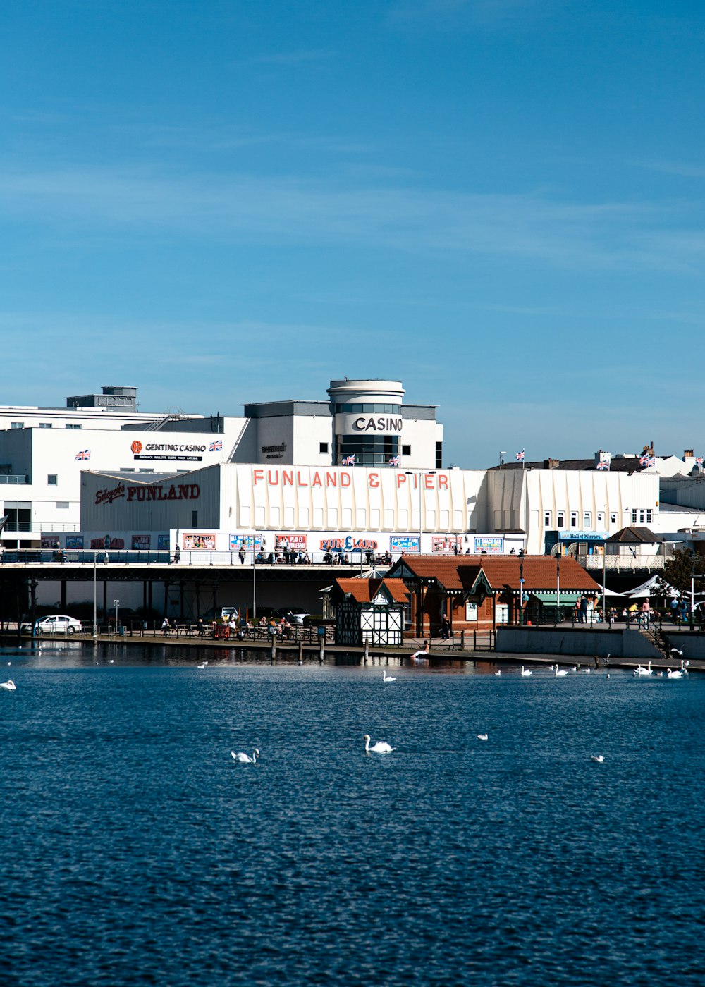 white birds on body of water near buildings