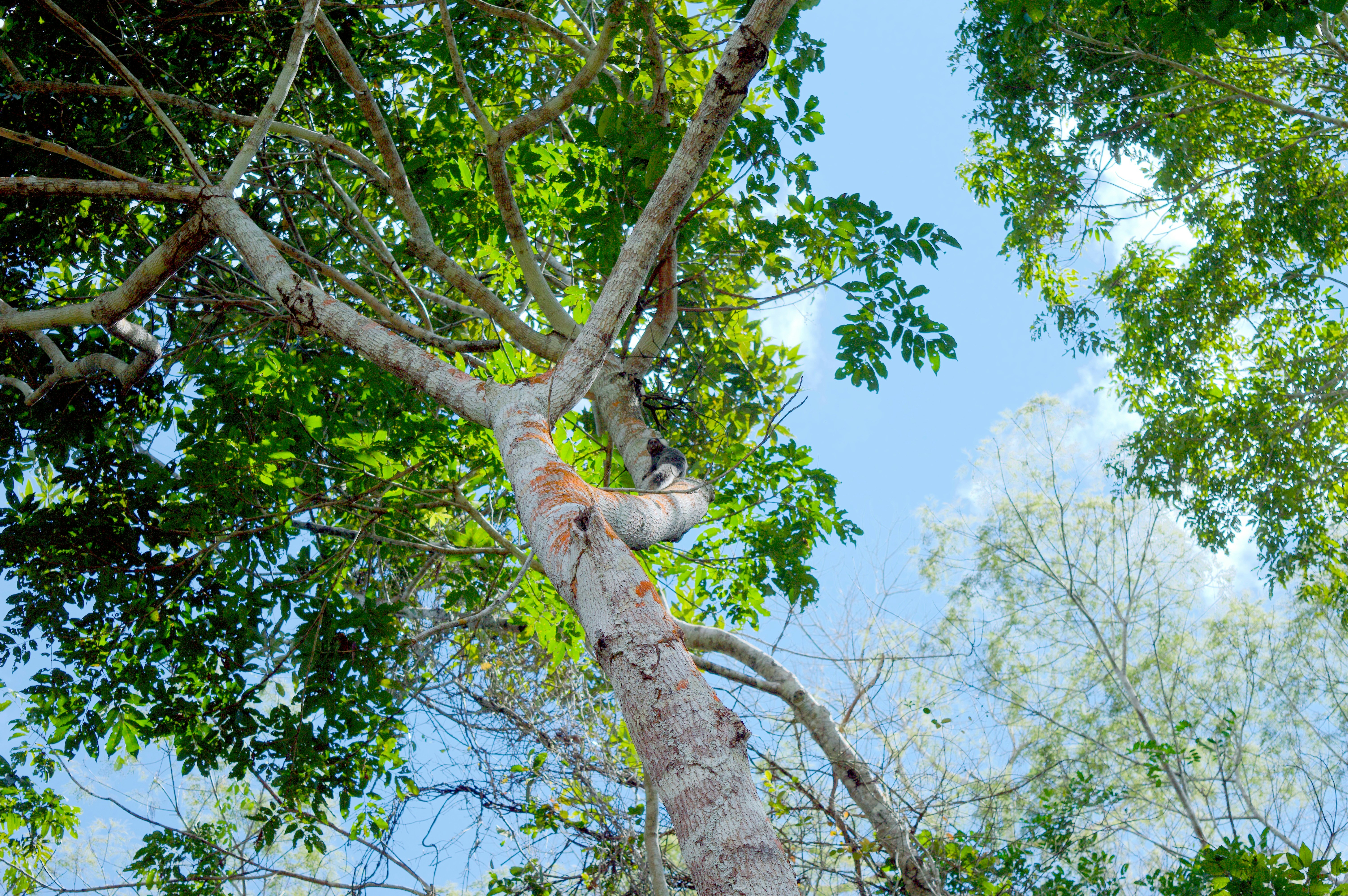 Photo by jardelsantana