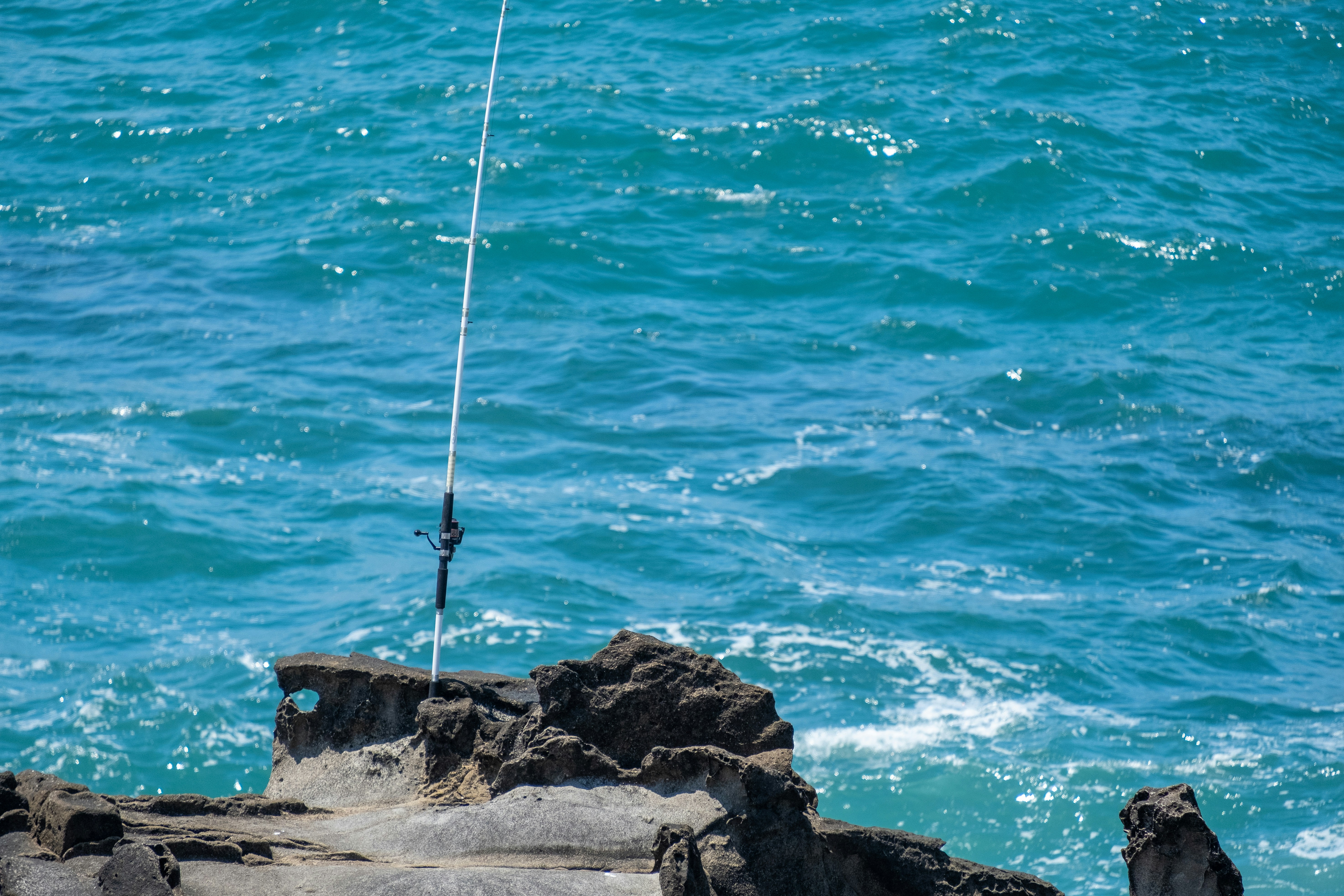 Custom Steelhead Rod