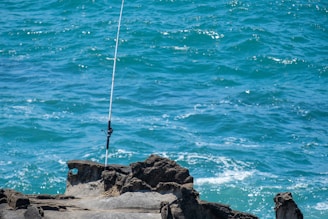 A bending fishing rod is set up on a rocky land under a bridge with a human picking up the rod  