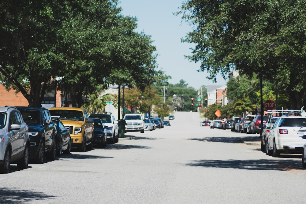 different vehicles parking near road surrounded with tall and green trees during daytime