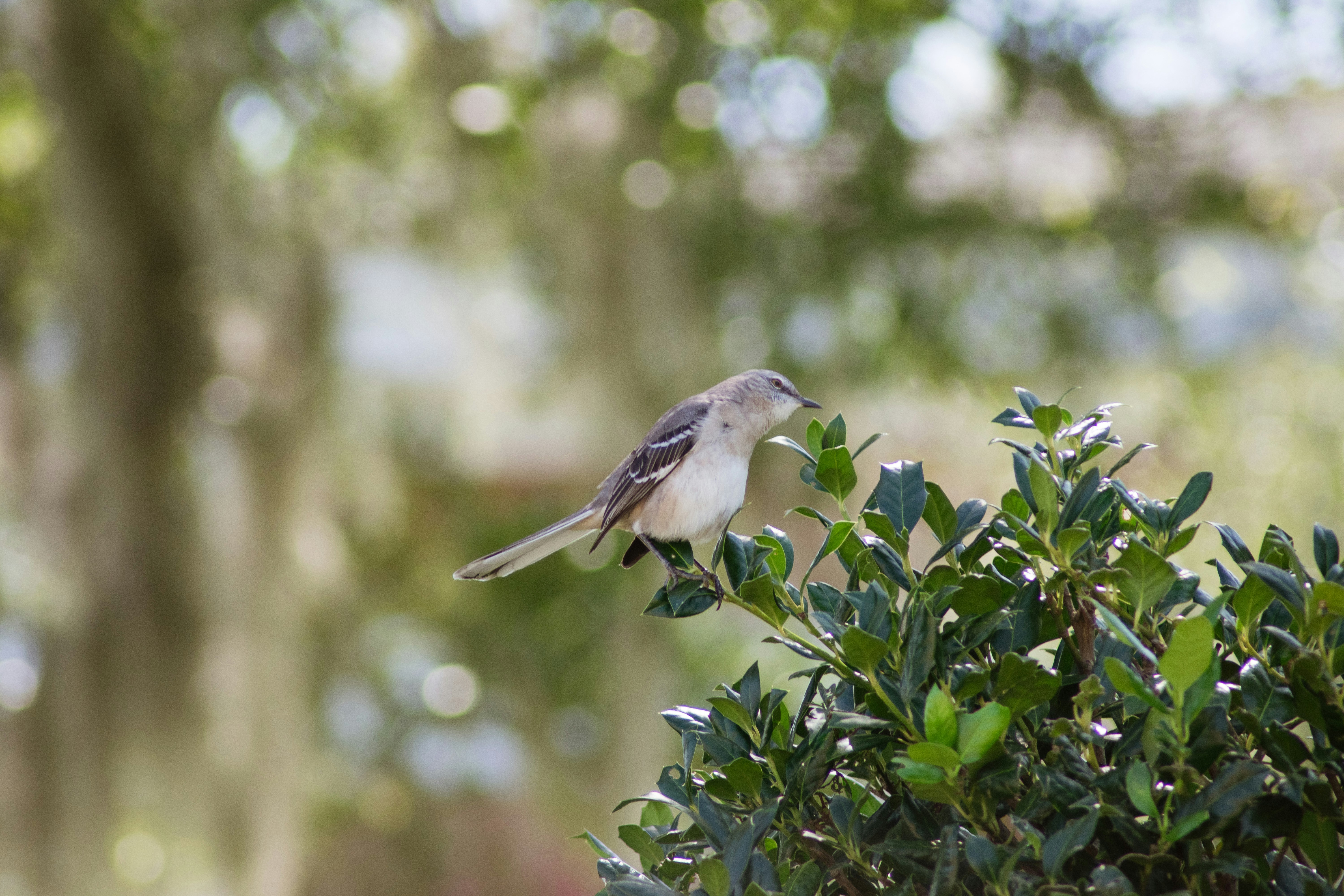 Photo by jonathanzeman