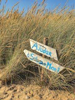 Elegant handmade wooden signage displayed in a natural setting.