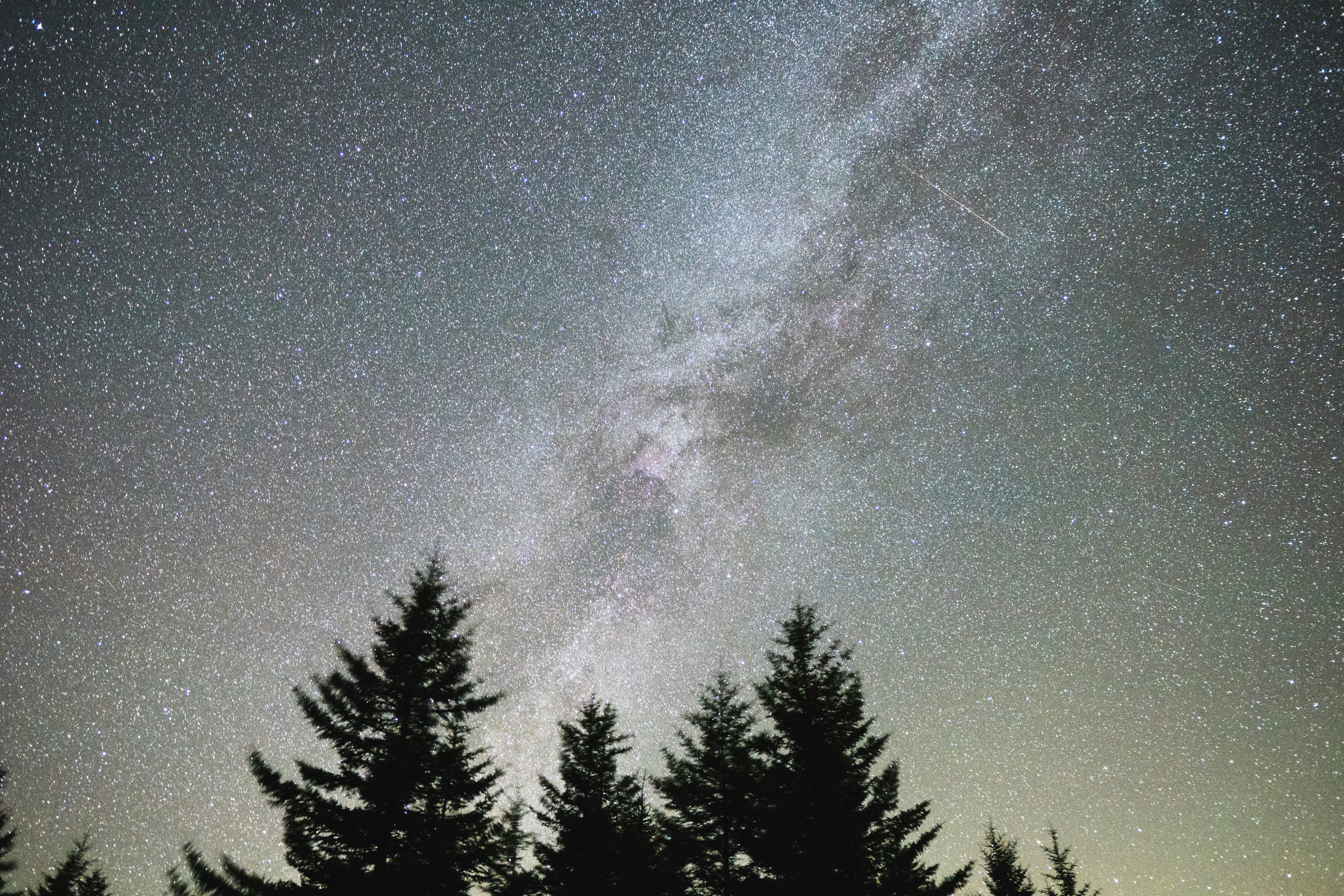 Photo by caleb_white