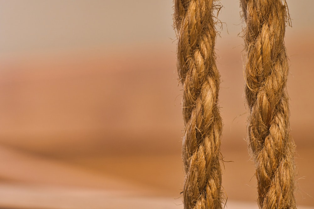 macro photography of braided brown rope