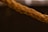 A close-up view of a thick, twisted brown rope set against a dark background. The rope's fibrous texture is clearly visible, highlighting its coarse and rugged appearance.