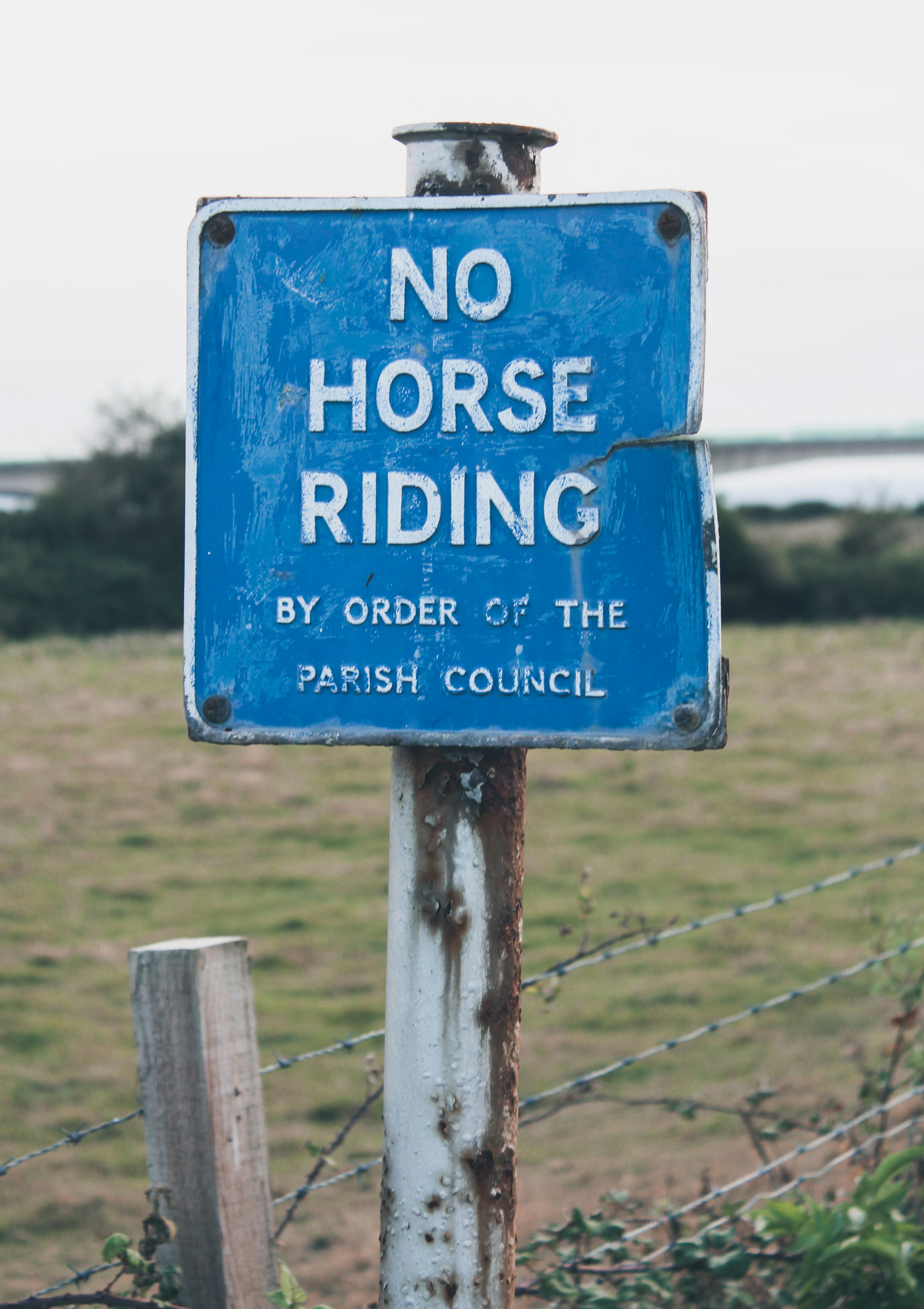 No horse riding signage photo – Free Symbol Image on Unsplash
