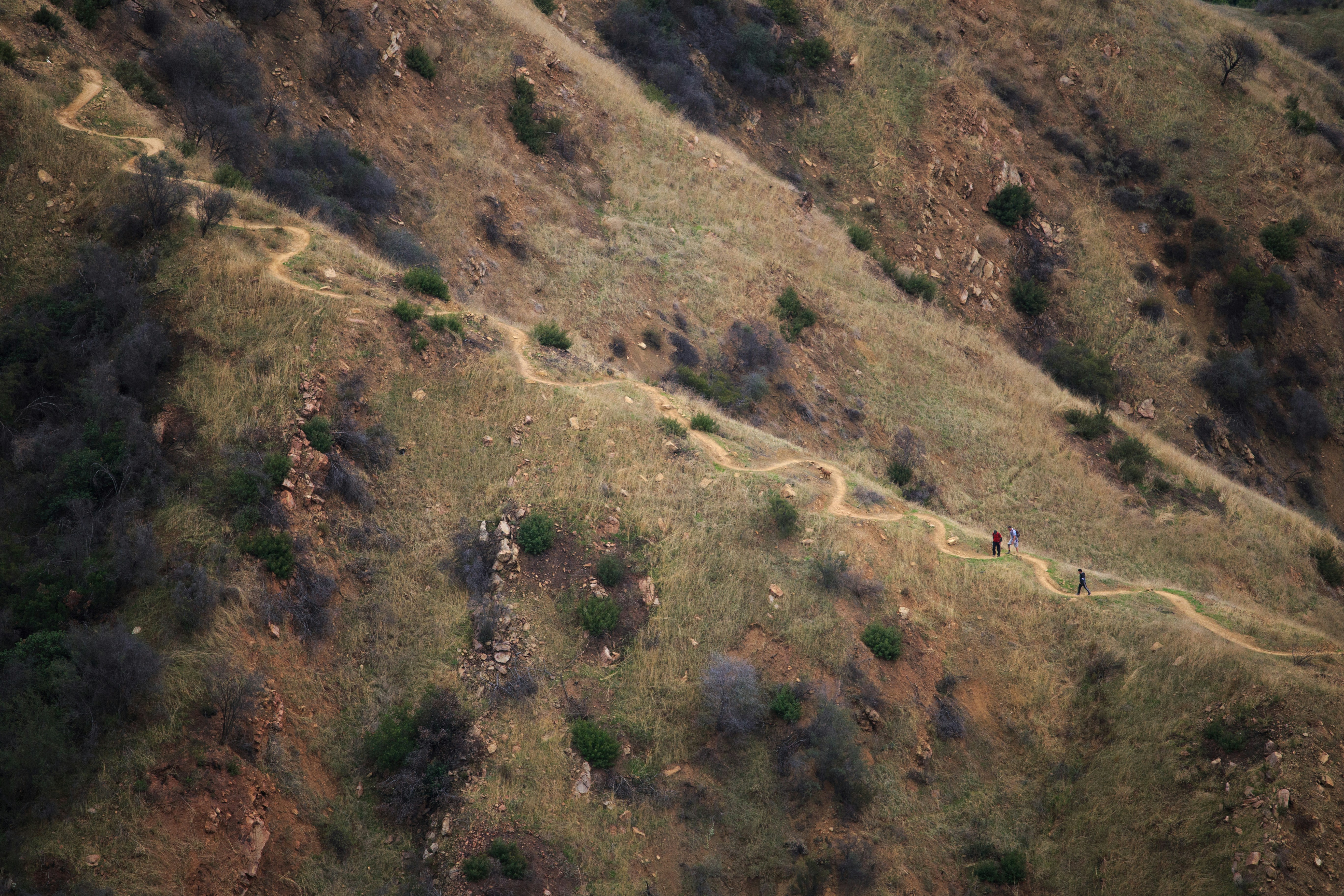 Photo by oneapparatus