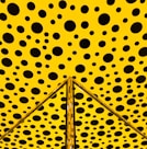 yellow and black polka-dot wall