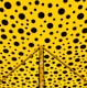 yellow and black polka-dot wall