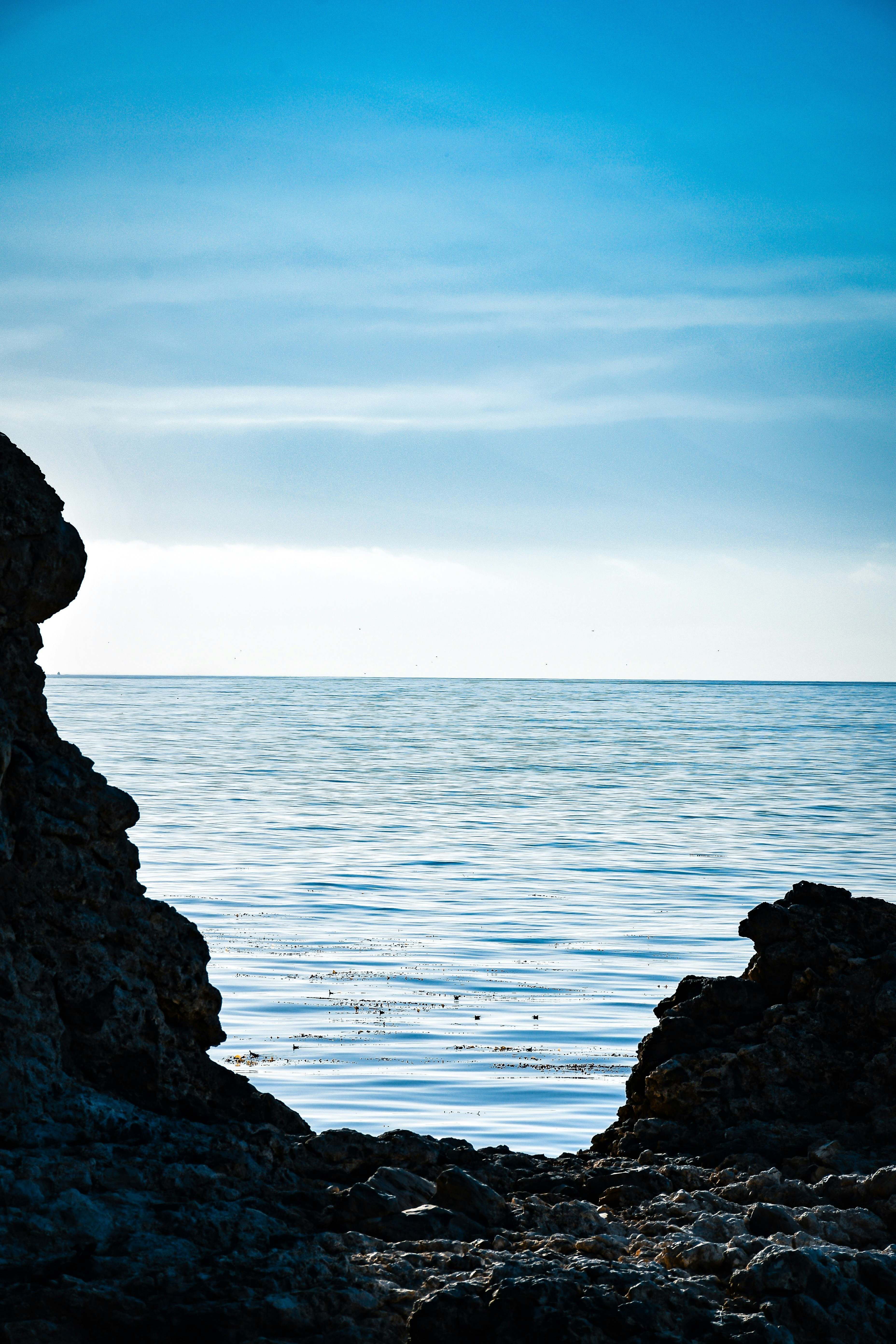 Photo by guss_bedolla