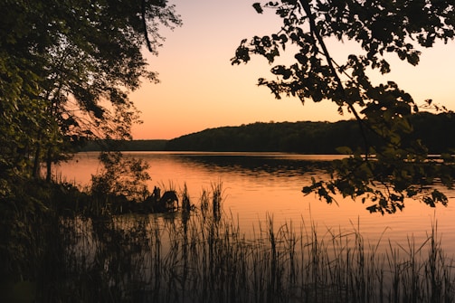 A serene lakeside sauna with steam rising at sunset.