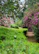 A peaceful garden path surrounded by lush greenery and blooming flowers.