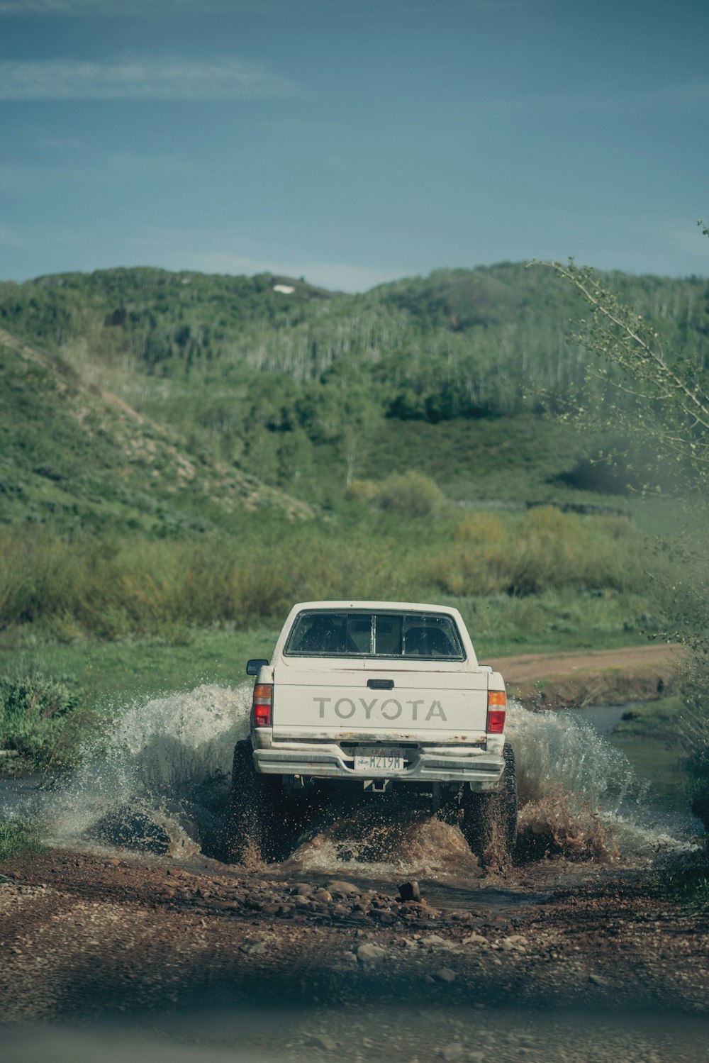 white Toyota pickup truck