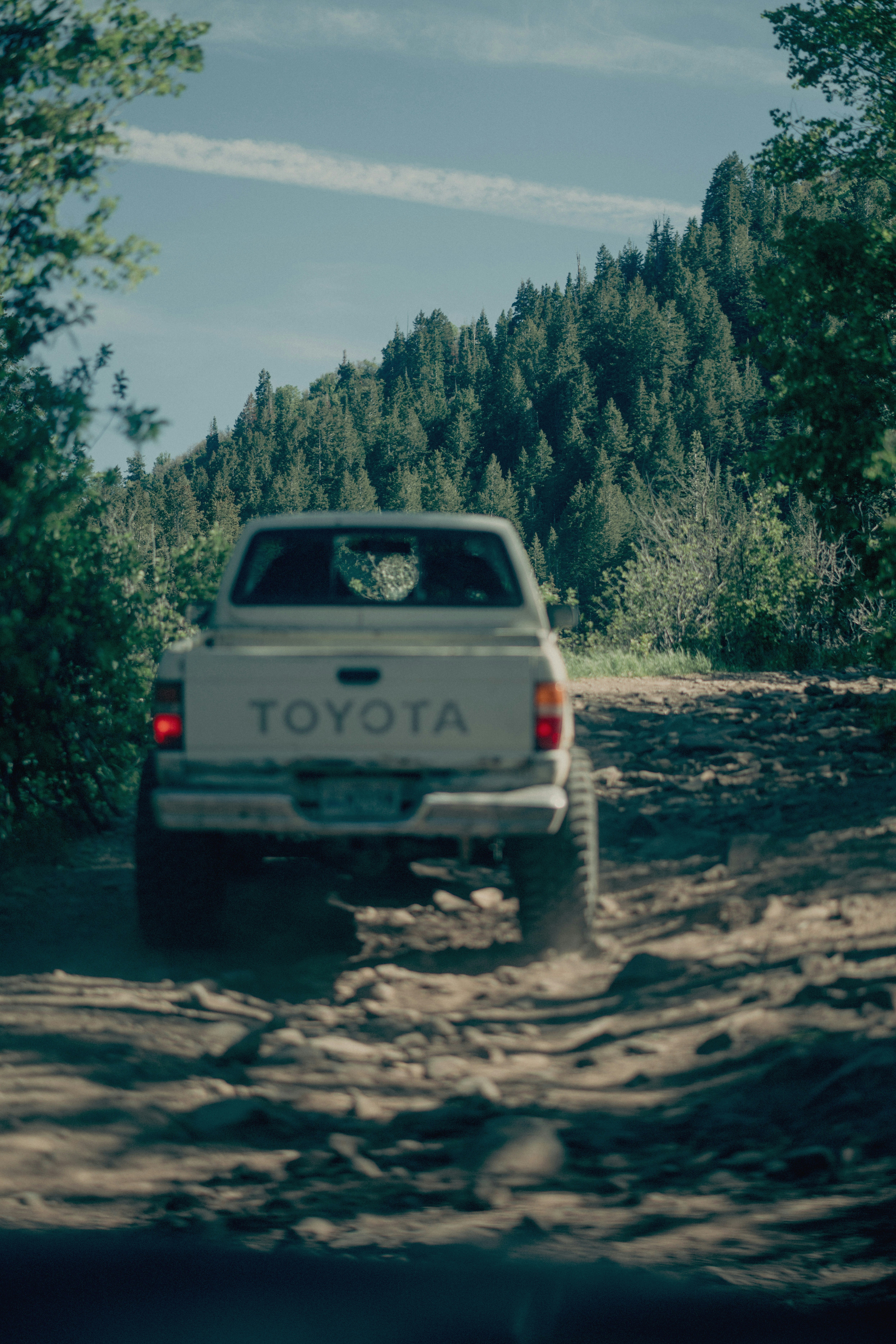 white Toyota pickup truck near tree