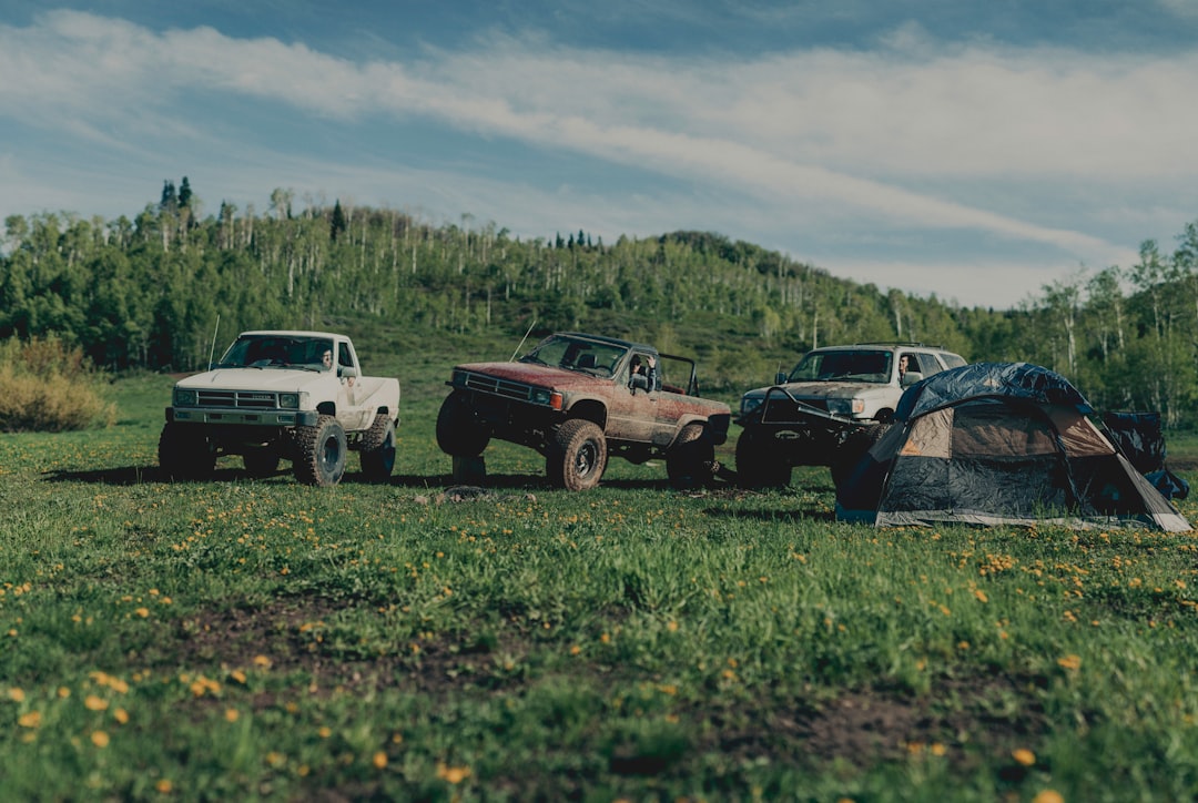 three pickup trucks on green field