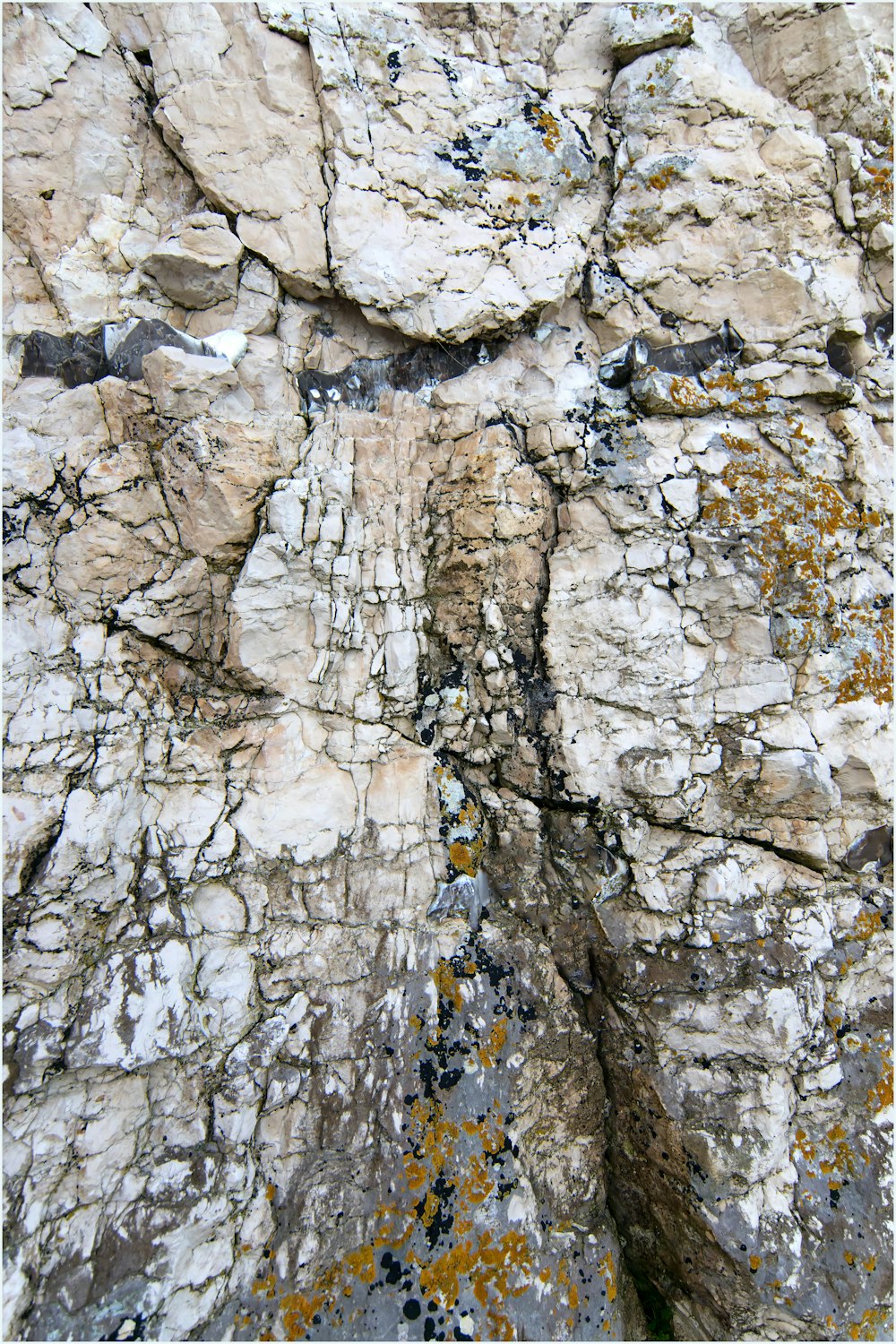 a close up of a rock with lichen and moss growing on it