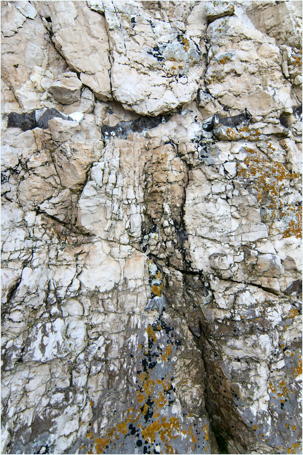 Un primer plano de una roca con líquenes y musgo creciendo en ella