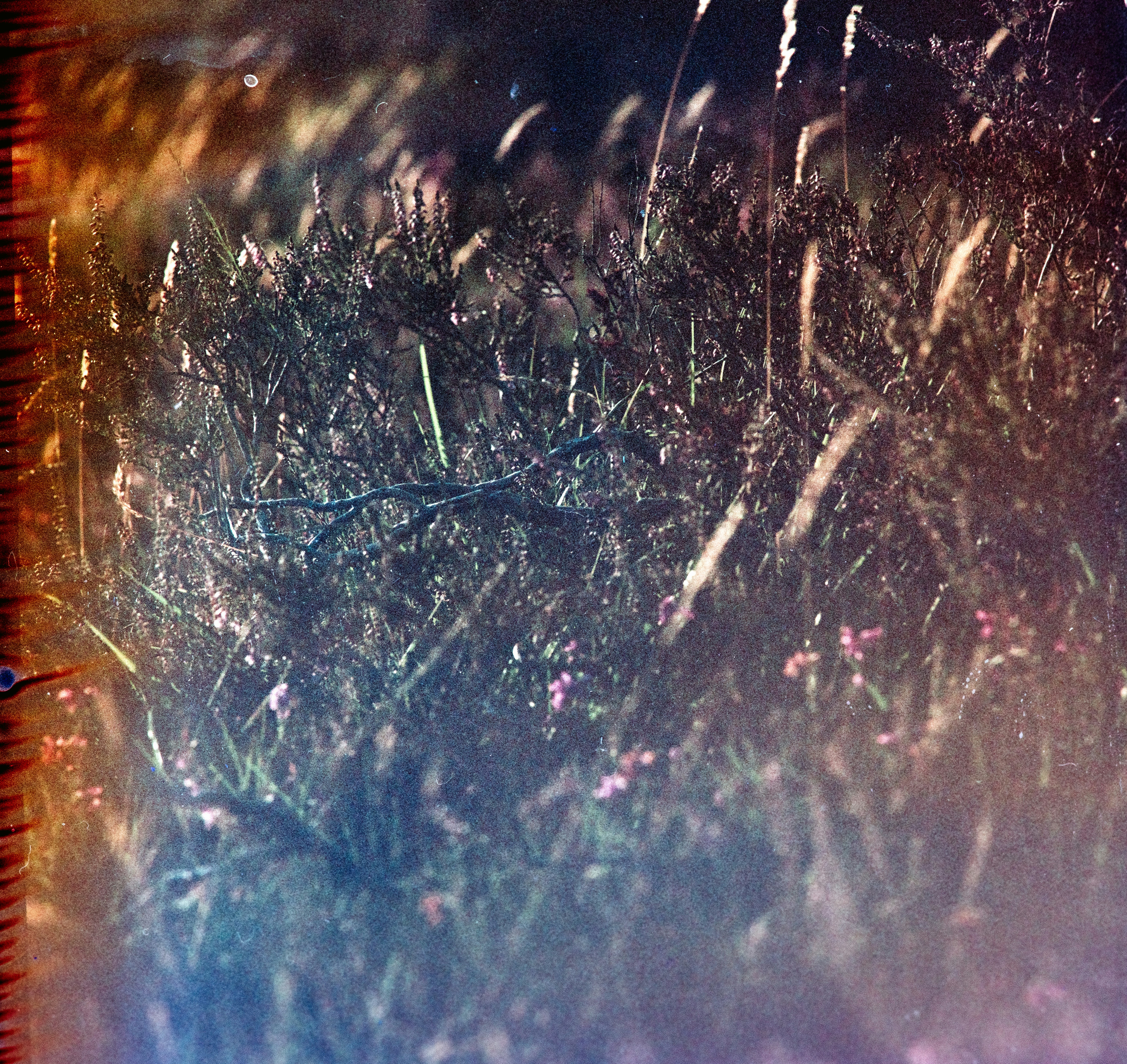 Photo by anniespratt