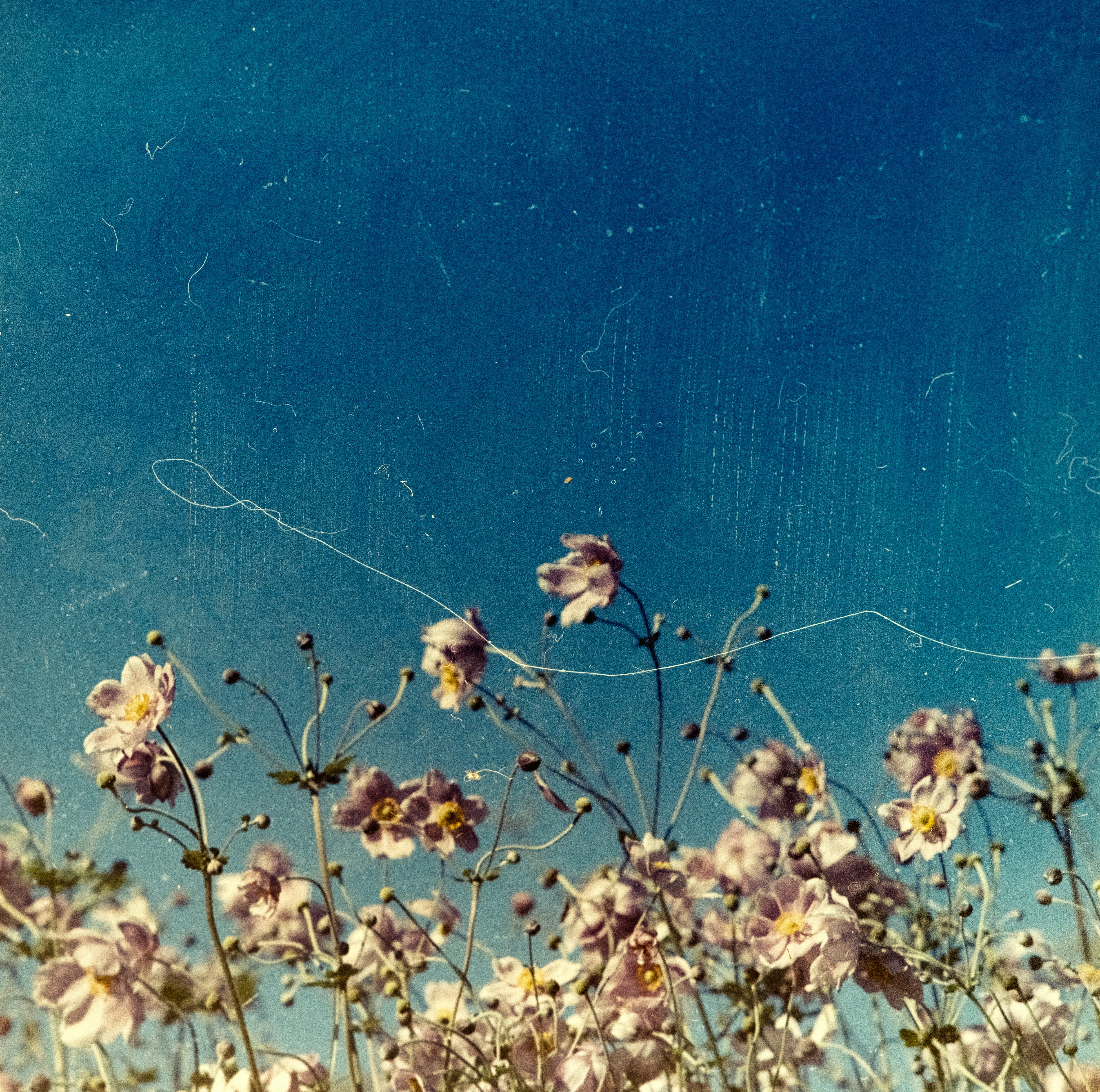 Photo by anniespratt