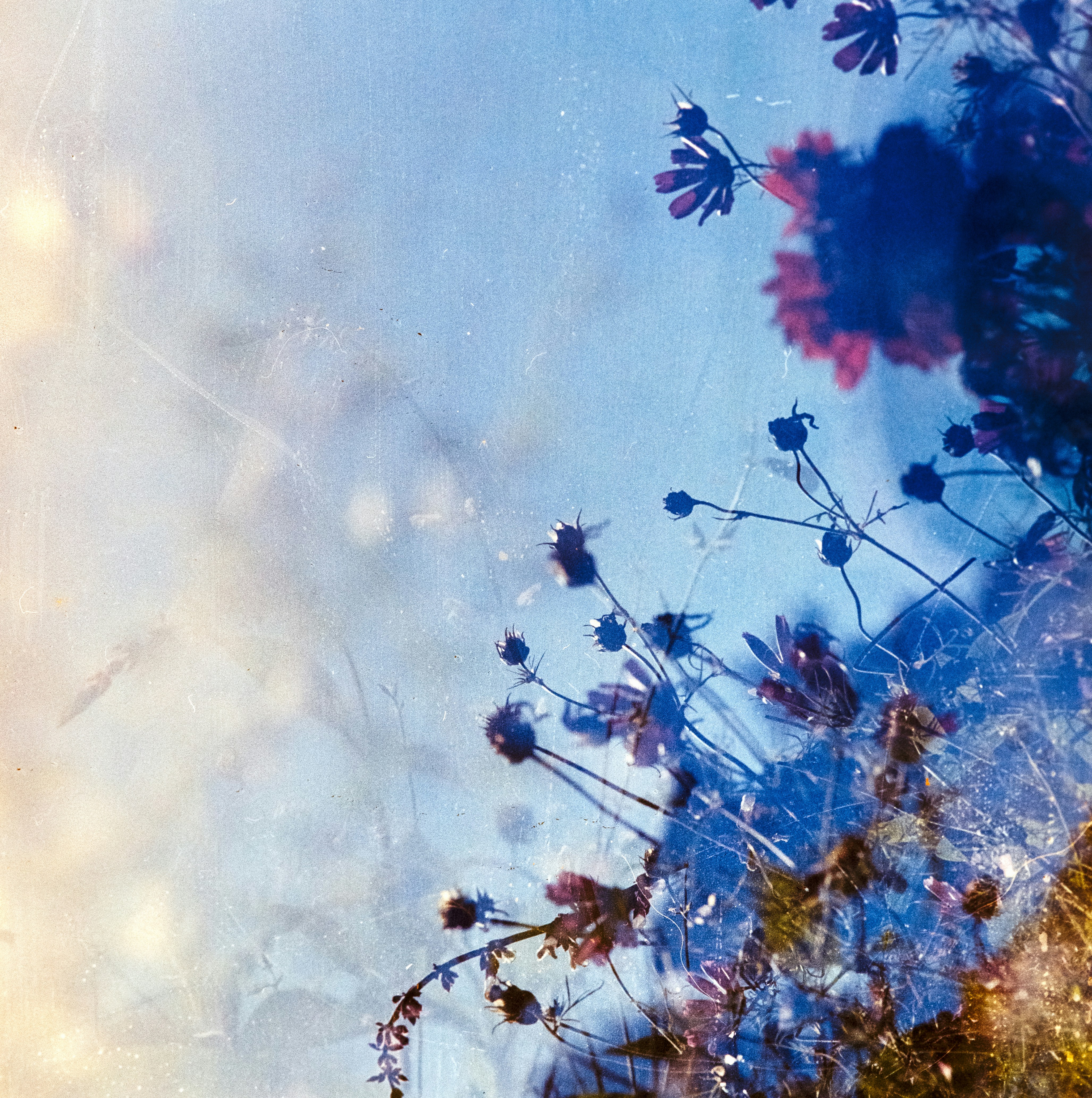 Photo by anniespratt