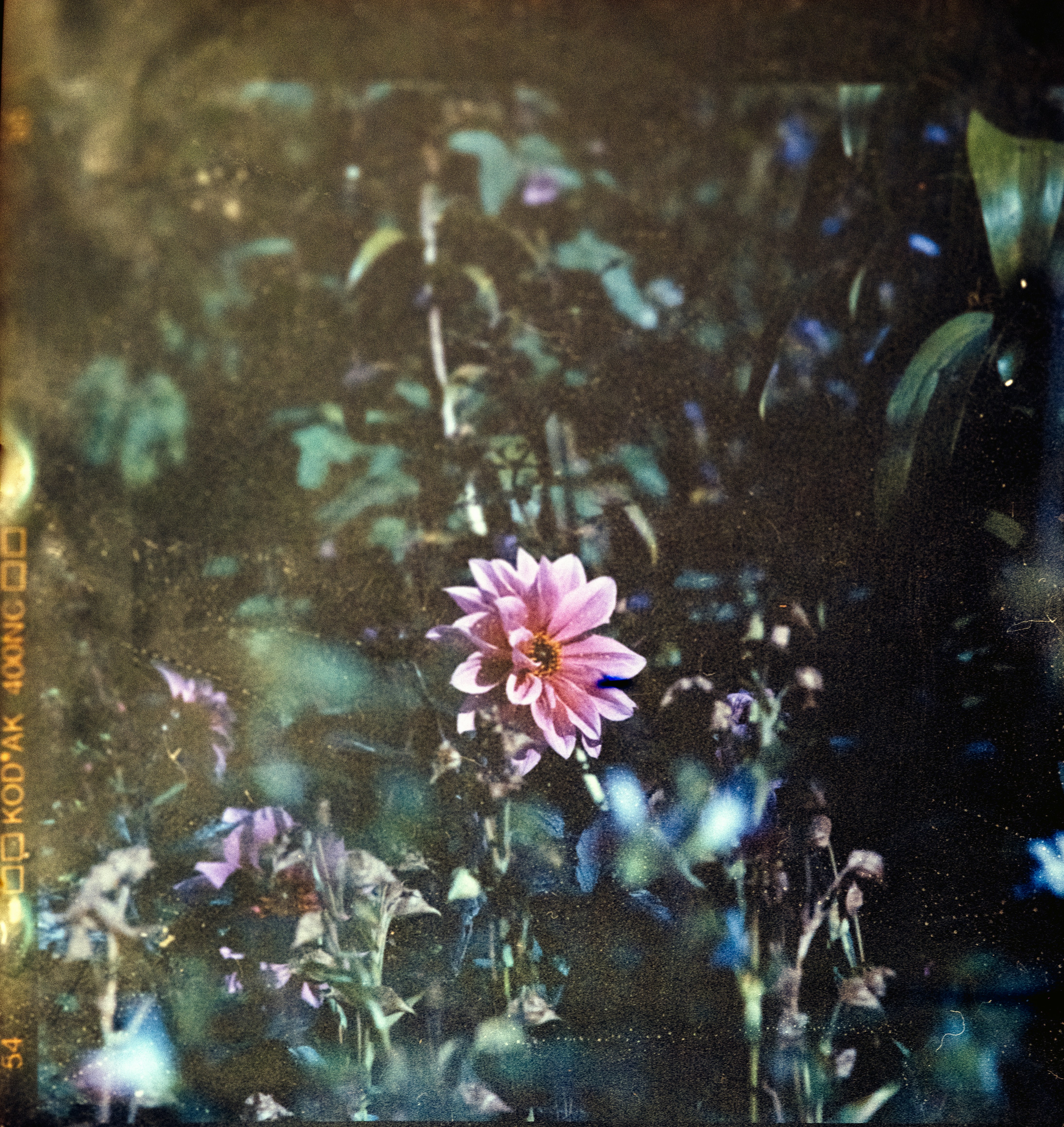 Photo by anniespratt