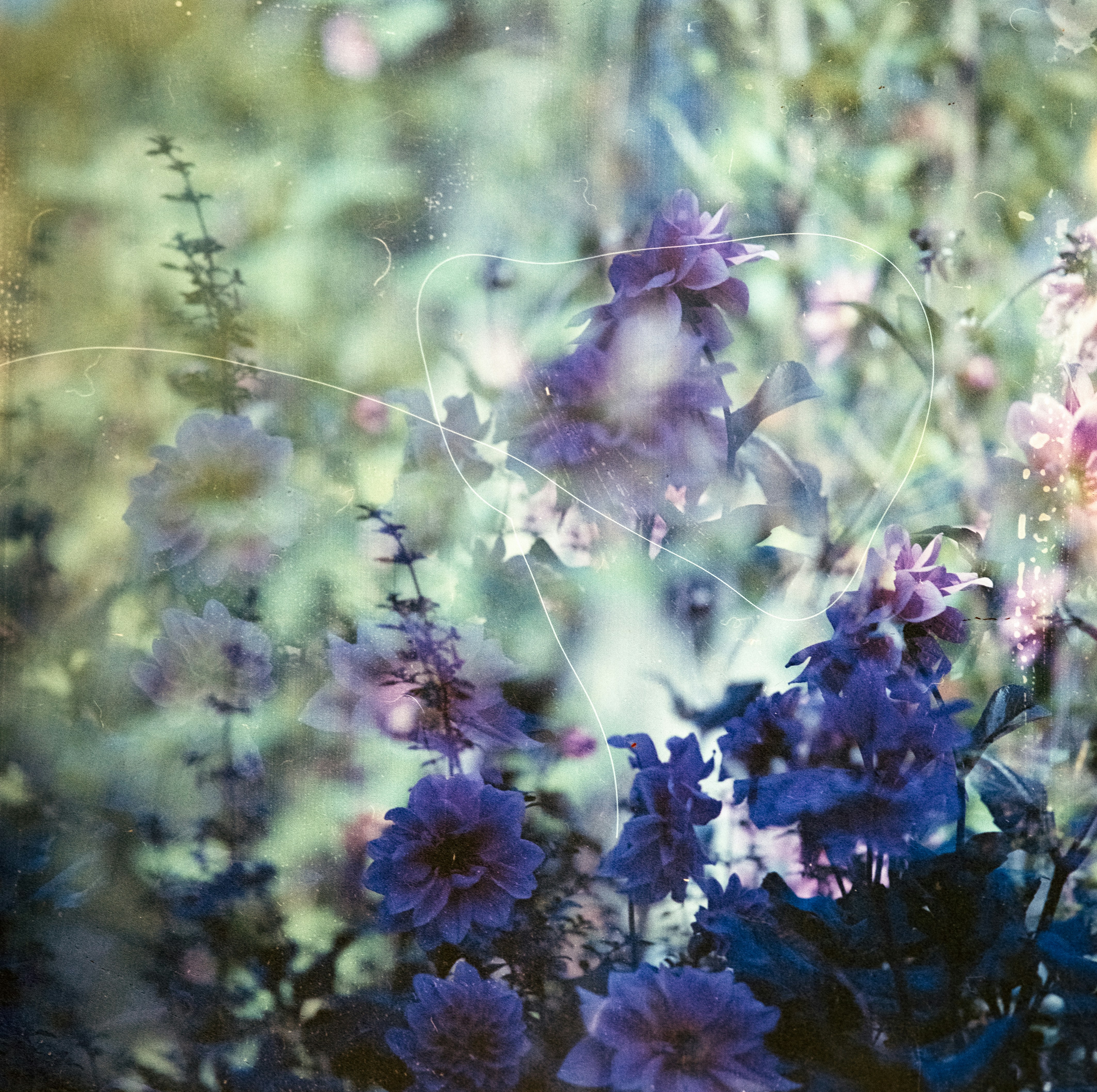 Photo by anniespratt