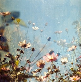 A delicate watercolor painting of blooming wildflowers in soft pastel tones.