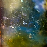 A dreamy and abstract scene featuring delicate, small flowers with thin stems in muted tones. The flowers appear to float in a misty environment, with soft lighting creating an ethereal atmosphere. Hues of green, blue, and purple blend seamlessly, adding to the mystifying effect.