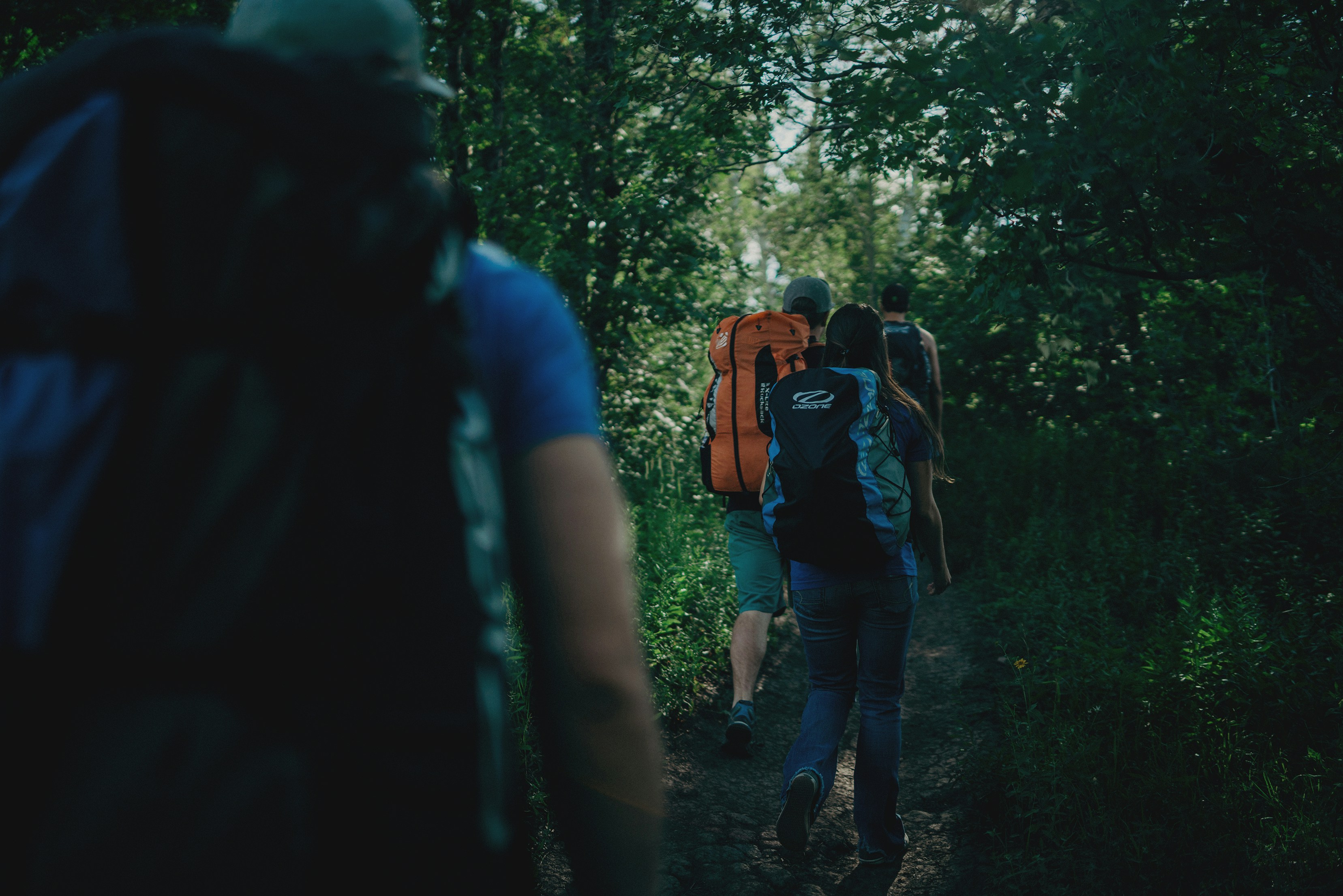 Photo by martinwyall