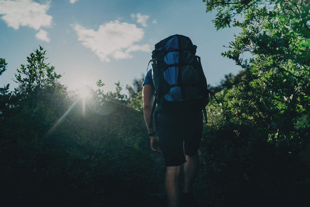 man walking on mountain near trees