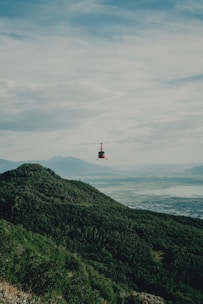 Forest Helicopter Tour on RENTOS