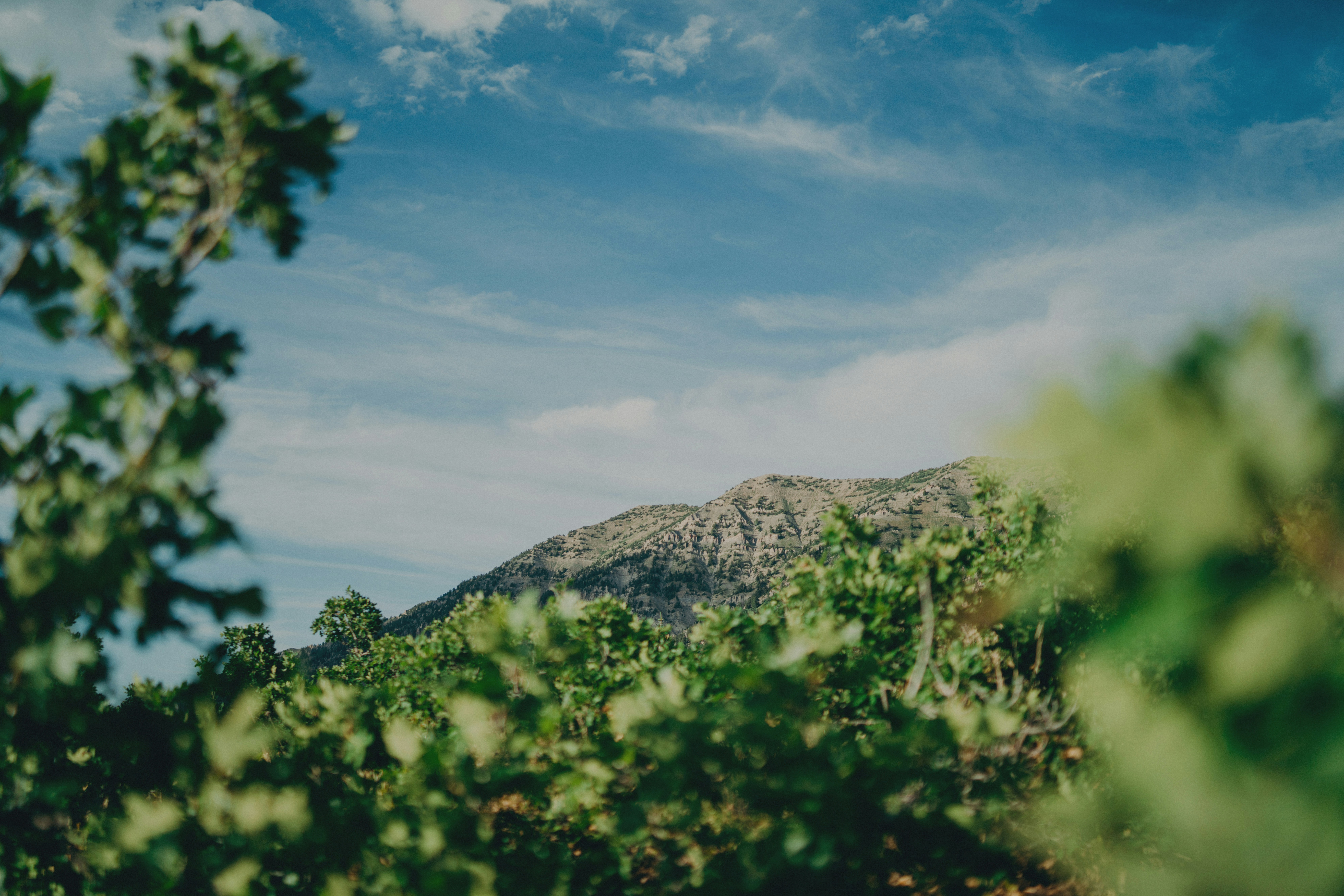 Photo by martinwyall