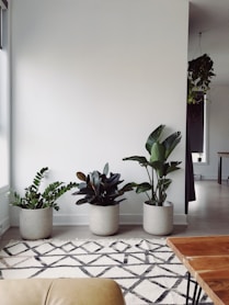plaster board