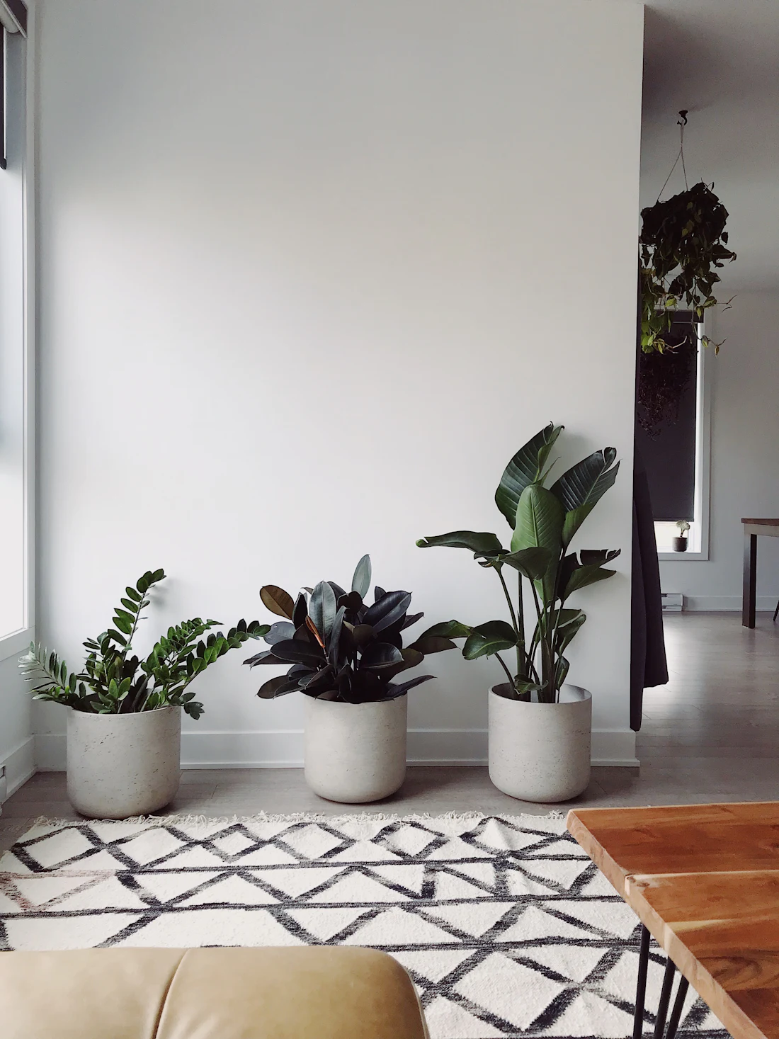 Vasos com plantas diante de uma parede clara