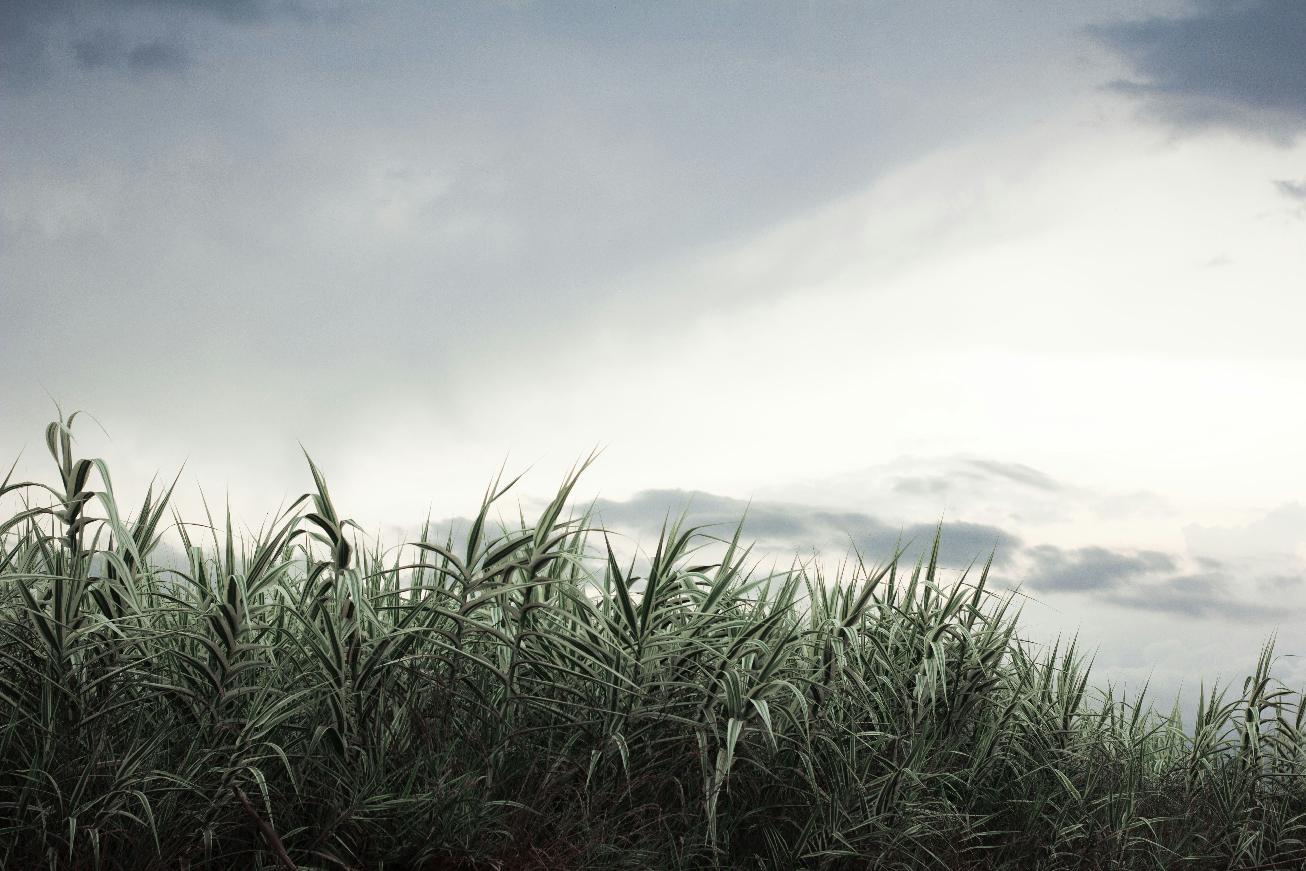 Photo by catherinegarrett